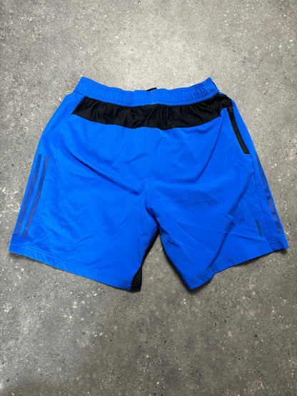 Adidas Shorts (M)