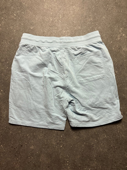 Weekend Offender Shorts (L)